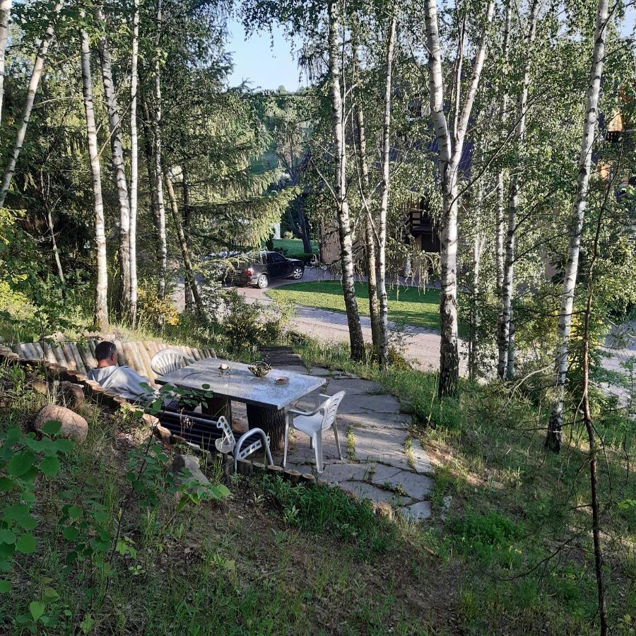 Agroturystyka Brzozowe Wzgorze Wlen Kültér fotó