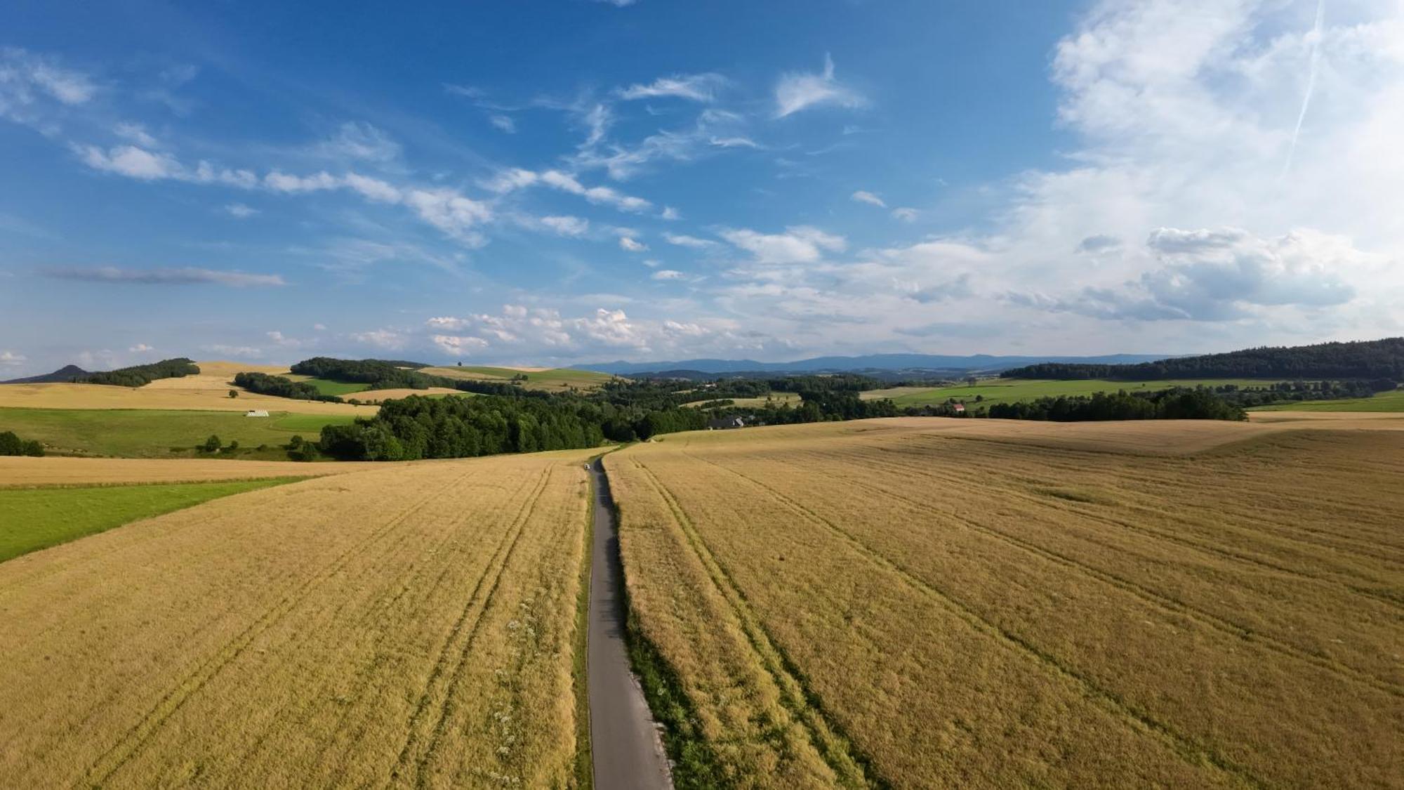 Agroturystyka Brzozowe Wzgorze Wlen Kültér fotó